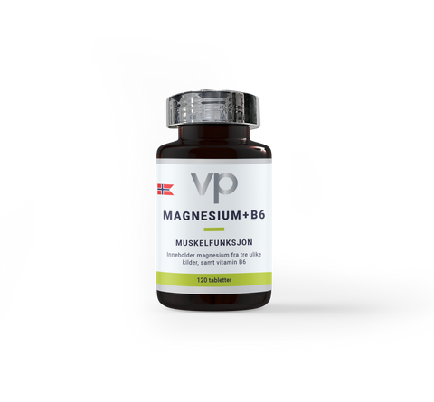 Magnesium - Vithal Pharma 
