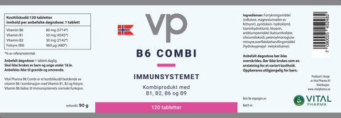 B6 Combi